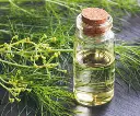 Screenshot 2024-11-30 at 13-53-58 fennel essential oil - Google Search.webp