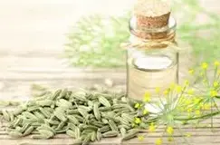 Screenshot 2024-11-30 at 13-54-39 fennel essential oil - Google Search.webp