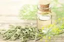 Screenshot 2024-11-30 at 13-54-39 fennel essential oil - Google Search.webp