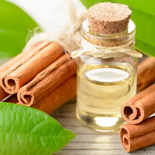 Screenshot 2024-12-01 at 09-21-03 cinnamon essential oil - Google Search.webp