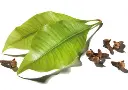 Screenshot 2024-12-01 at 09-29-09 clove leaf essential oil - Google Search.webp