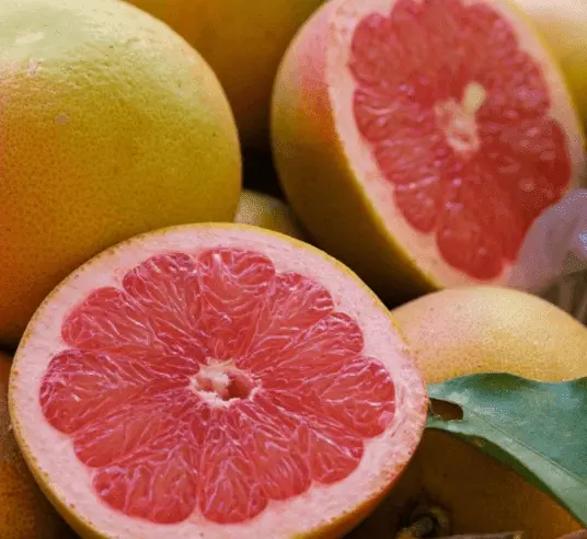 Screenshot 2024-12-01 at 09-53-35 grapefruit essential oil - Google Search.webp