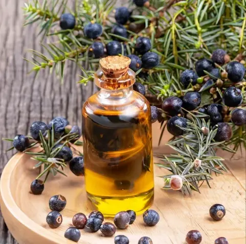 Screenshot 2024-12-01 at 10-01-08 juniper berry essential oil - Google Search.webp