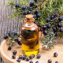 Screenshot 2024-12-01 at 10-01-08 juniper berry essential oil - Google Search.webp