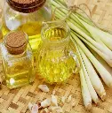 Screenshot 2024-12-01 at 10-13-59 lemongrass essential oil - Google Search.webp