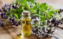 Screenshot 2024-12-01 at 10-40-02 marjoram essential oil - Google Search.webp