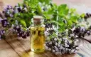 Screenshot 2024-12-01 at 10-40-02 marjoram essential oil - Google Search.webp