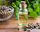 Screenshot 2024-12-01 at 14-12-45 Coriander Seed Essential Oil - Google Search.webp