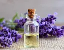 Screenshot 2024-12-02 at 19-38-15 lavender essential oil - Google Search.webp