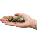 Screenshot 2024-12-03 at 10-54-41 Wholesale Mineral Specimens - Chalcopyrite (approx 80 pieces) - Ancient Wisdom Giftware Supplier.webp