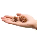 Screenshot 2024-12-03 at 18-43-22 Wholesale Mineral Specimens - Aragonite (approx 60 pieces) - Ancient Wisdom Giftware Supplier.webp