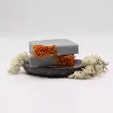 Coastal Wilderness Soap Slice