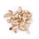 Citrine Rough Points 500g